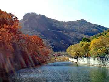 管家婆黑白马报图库，野生全松茶